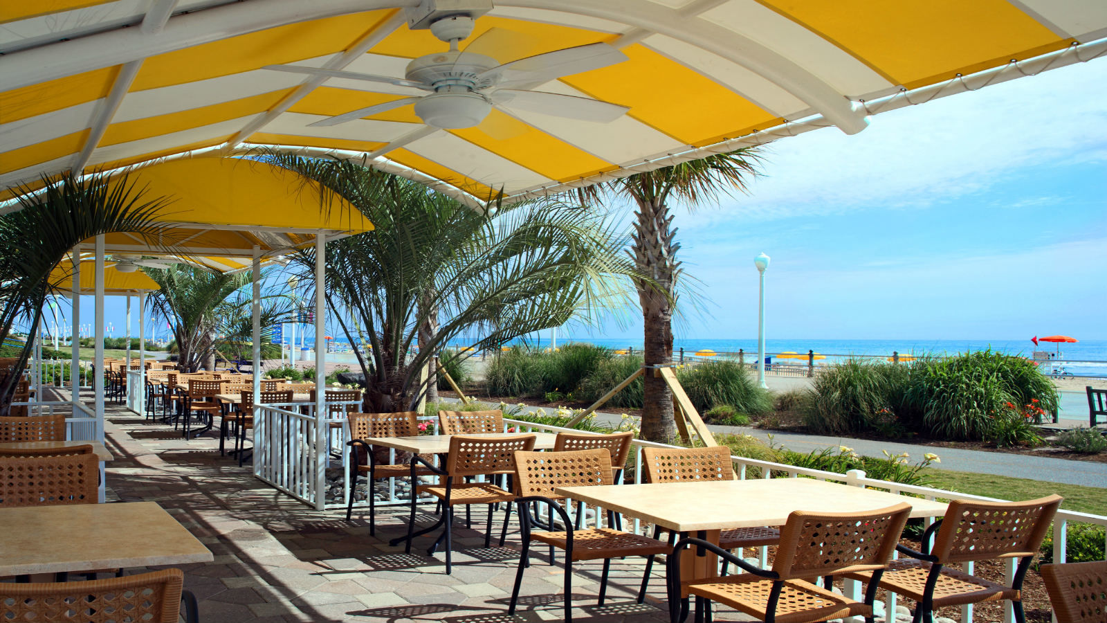 Virginia Beach Restaurants | Sheraton Virginia Beach Oceanfront Hotel